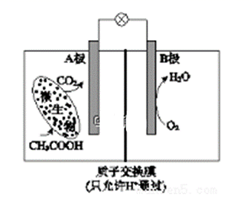 图片_x0020_100005