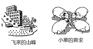 图片_x0020_100013