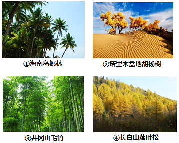 图片_x0020_955365917