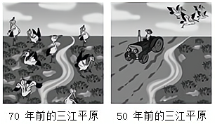 图片_x0020_58169662