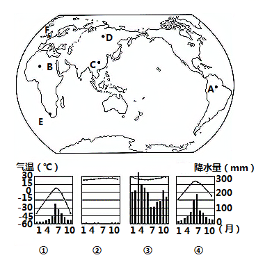 图片_x0020_1628409233