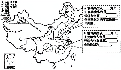 图片_x0020_100008