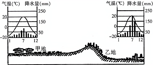 图片_x0020_100003