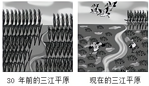 图片_x0020_1961487583