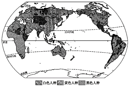 图片_x0020_100012