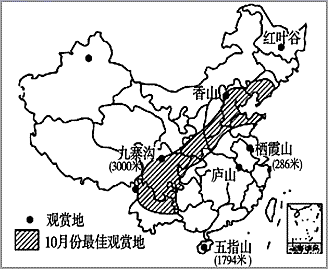 图片_x0020_100012