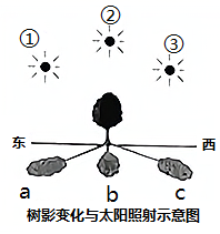 图片_x0020_277413770