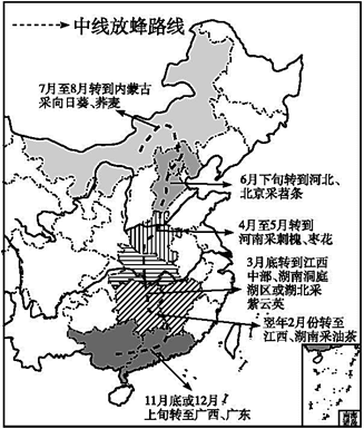 图片_x0020_100001