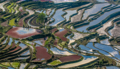图片_x0020_100017