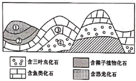 图片_x0020_100024
