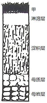图片_x0020_100008