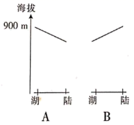 图片_x0020_100002