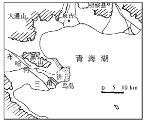 图片_x0020_156854956