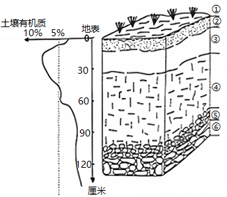 图片_x0020_1588590297