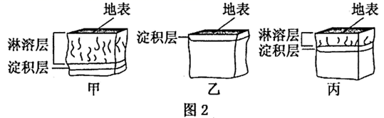 图片_x0020_1944196158