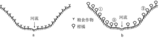 图片_x0020_100013