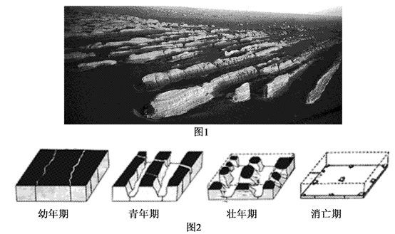 图片_x0020_144127631