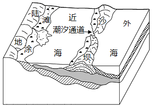 图片_x0020_100012