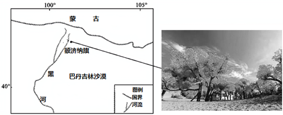 图片_x0020_100021