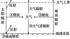 图片_x0020_773390137