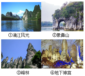 图片_x0020_100012