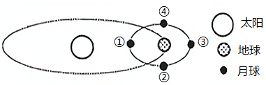 图片_x0020_100001