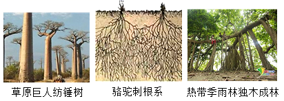 图片_x0020_100016