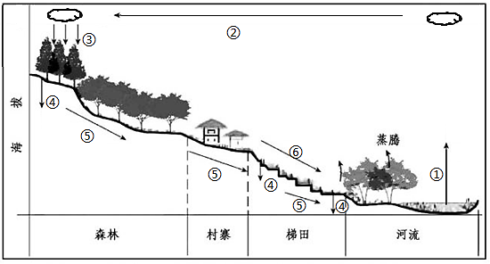 图片_x0020_100018