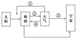 图片_x0020_100001