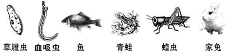 图片_x0020_100004
