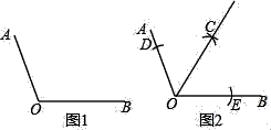 图片_x0020_100015