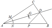 图片_x0020_100016