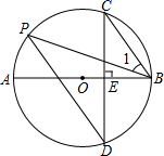 图片_x0020_100017