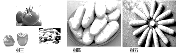 图片_x0020_100014