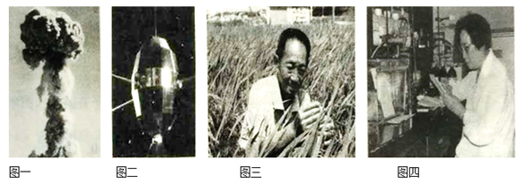 图片_x0020_100001