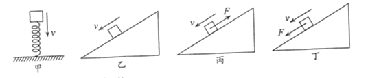 图片_x0020_100008