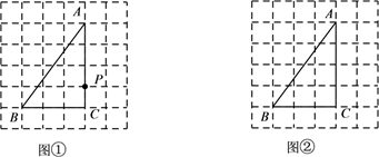 图片_x0020_100010