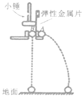 图片_x0020_100014