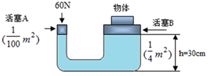 图片_x0020_100006