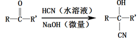 图片_x0020_1017353879