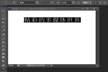 图片_x0020_24