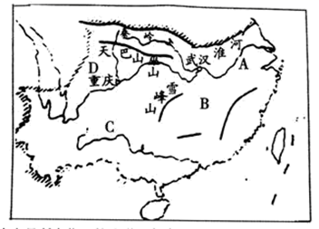 图片_x0020_100006