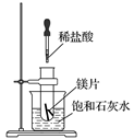 图片_x0020_1048724242