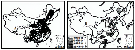 图片_x0020_500123391
