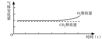 图片_x0020_100003