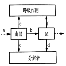 图片_x0020_100004
