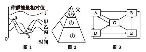 图片_x0020_100008