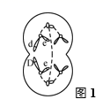 图片_x0020_100010