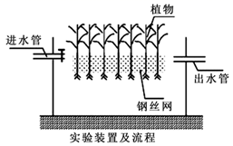 图片_x0020_100013