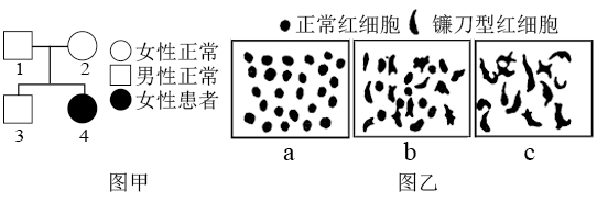图片_x0020_100002